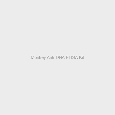 Monkey Anti-DNA ELISA Kit